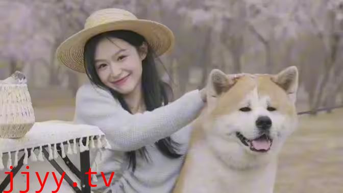 她似晚风过境时