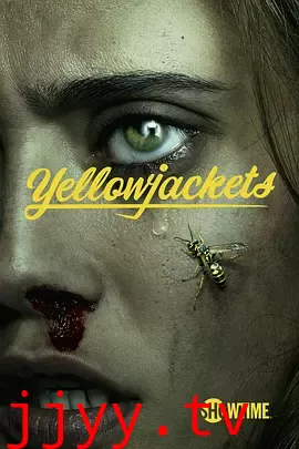 黄蜂 第一季