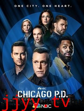 芝加哥警署 第九季