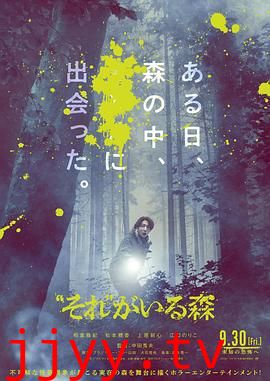 “那个”所在的森林