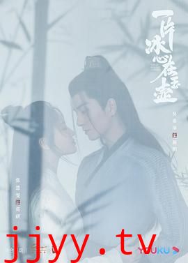 一片冰心在玉壶