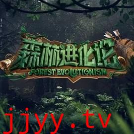 森林进化论