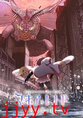 魔法纪录：魔法少女小圆外传