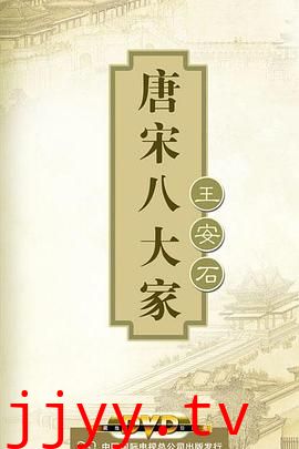 百家讲坛—唐宋八大家之王安石