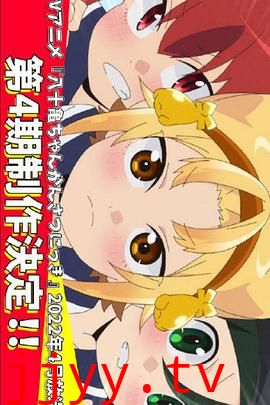 八十龟酱观察日记