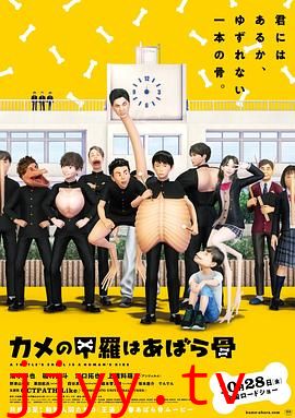 乌龟的壳其实是肋骨