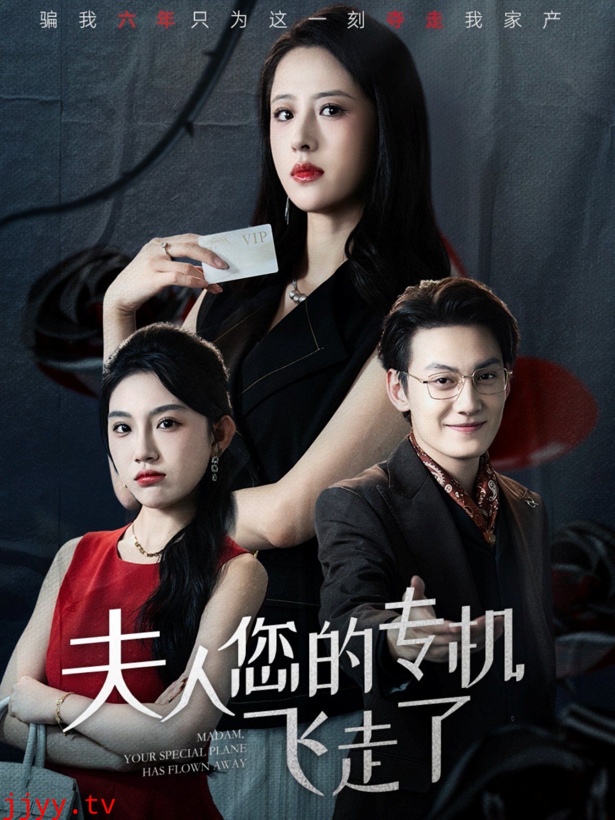 夫人您的专机飞走了