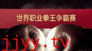 世界职业拳王争霸赛