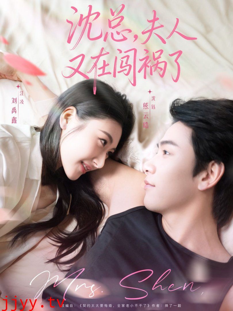 沈总，夫人又在闯祸了