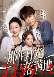 那年月光落满地