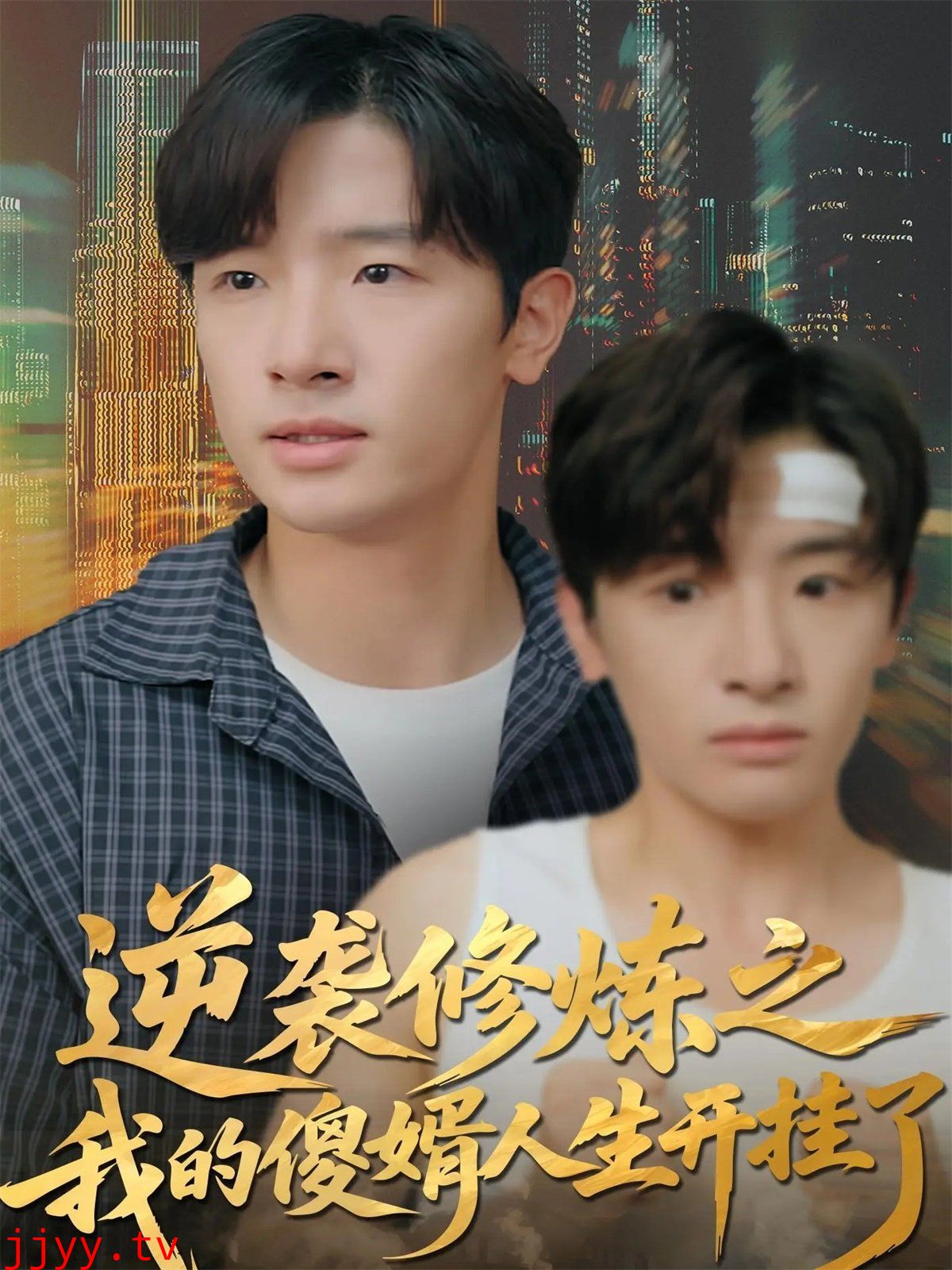 逆袭修炼之我的傻婿人生开挂了