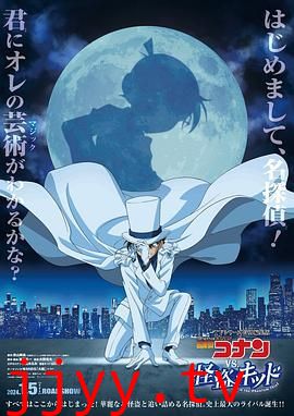 名侦探柯南VS怪盗基德