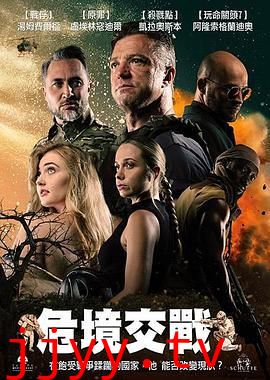 危境交战