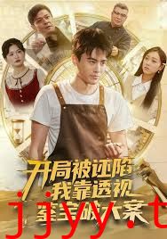 开局被诬陷,我靠透视鉴宝破大案