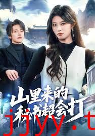 山里来的秘书超会打