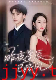 昨夜星辰已成风