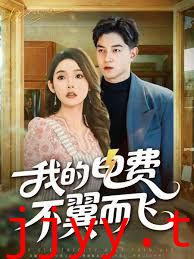 我的电费不翼而飞