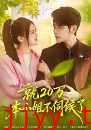 就20万！本小姐不伺候了