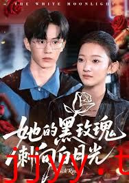 她的黑玫瑰刺向白月光