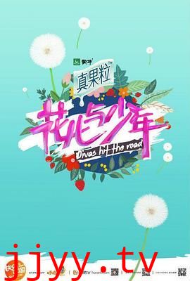 花儿与少年第二季