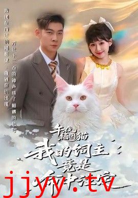 午夜缅因猫我的饲主竟是命中注定