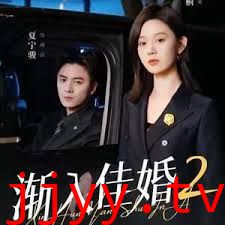 渐入佳婚第二部