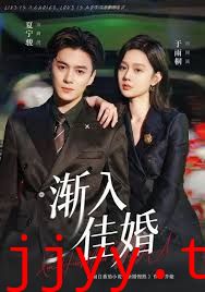 渐入佳婚第一部