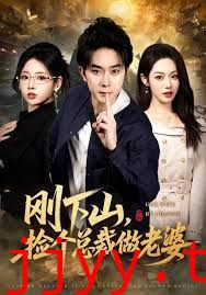 刚下山捡个总裁做老婆