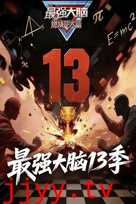 最强大脑第13季