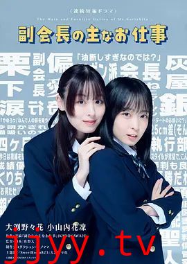 副会长的主要工作