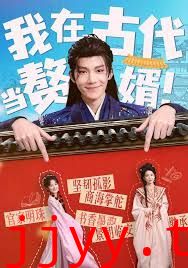 我在古代当赘婿