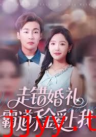 走错婚礼霸道千金爱上我