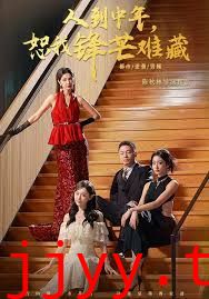 人到中年，恕我锋芒难藏