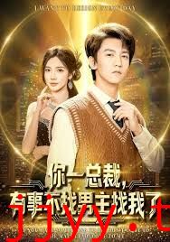 你一总裁,有事不找男主找我了