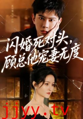 闪婚死对头,顾总他宠妻无度