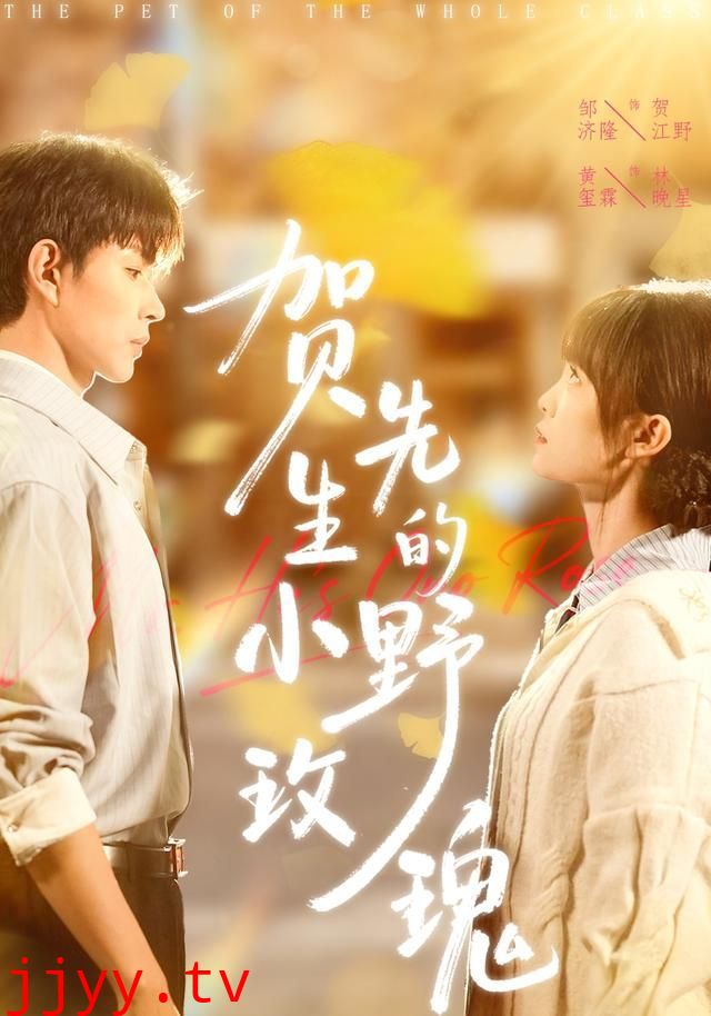 贺先生的小野玫瑰