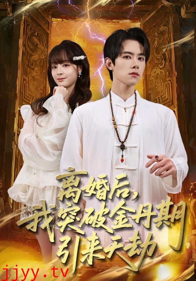 离婚后,我突破金丹期,引来天劫