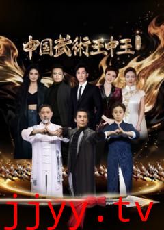 中国武术王中王第二季