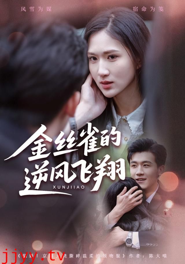 金丝雀的逆风飞翔