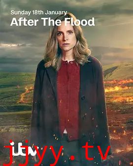 洪水之后第二季