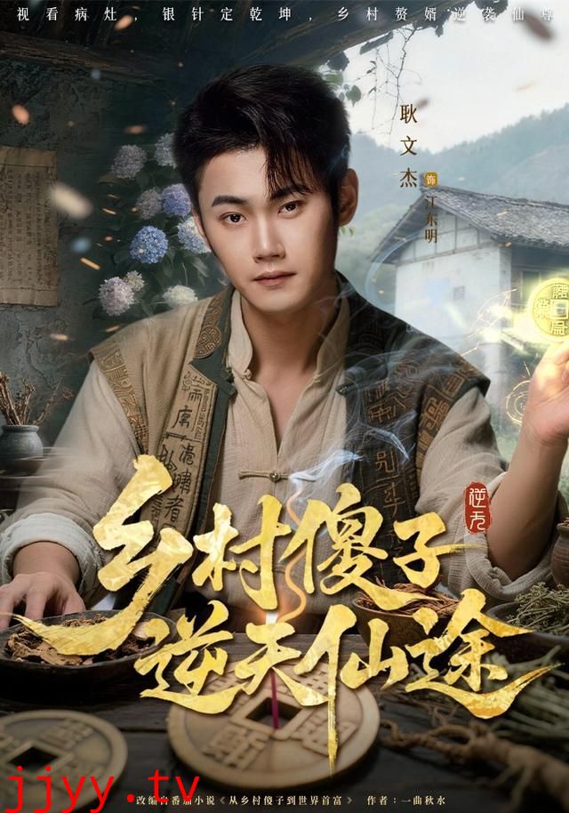 乡村傻子逆天仙途