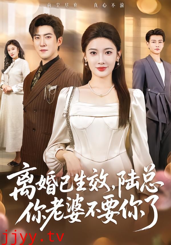 离婚已生效，陆总你老婆不要你了