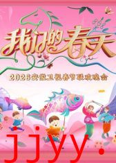 安徽卫视春节联欢晚会2026