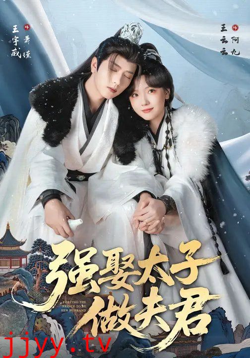 强娶太子做夫君