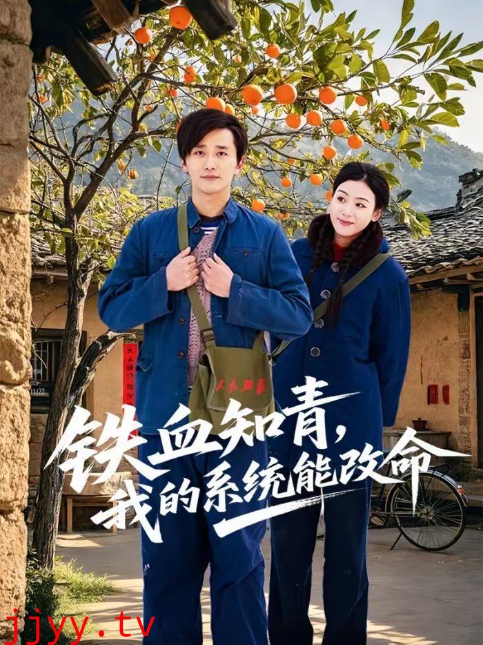 铁血知青,我的系统能改命