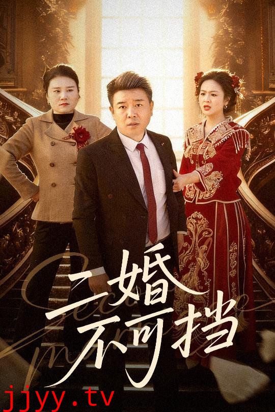 二婚不可挡