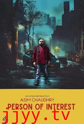 疑犯追踪（2024）