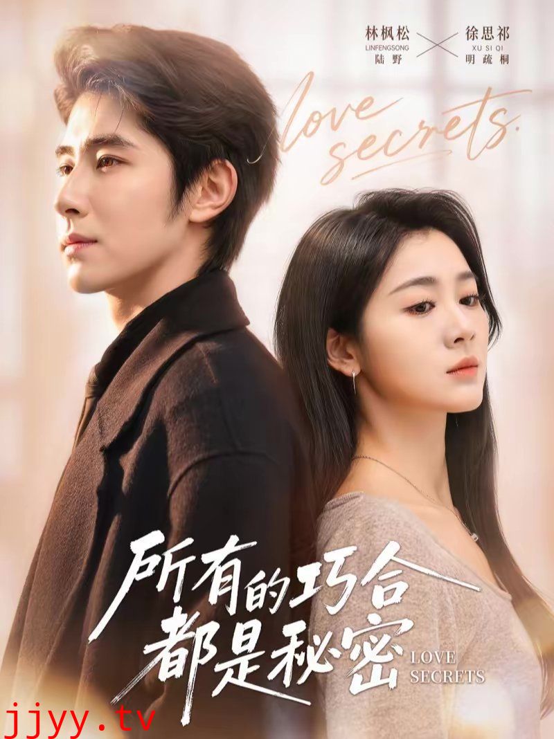 所有的巧合都是秘密（陆总夫人她只想离婚）