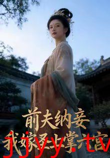 前夫纳妾，我嫁圣上掌六宫