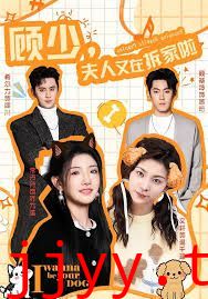 顾少，夫人又在拆家啦